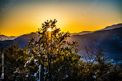 mountain sunrise with trees in the foreground