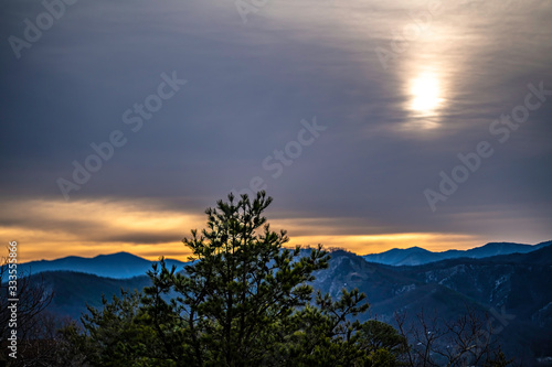 sunrise in the mountains with pine tree in foreground
