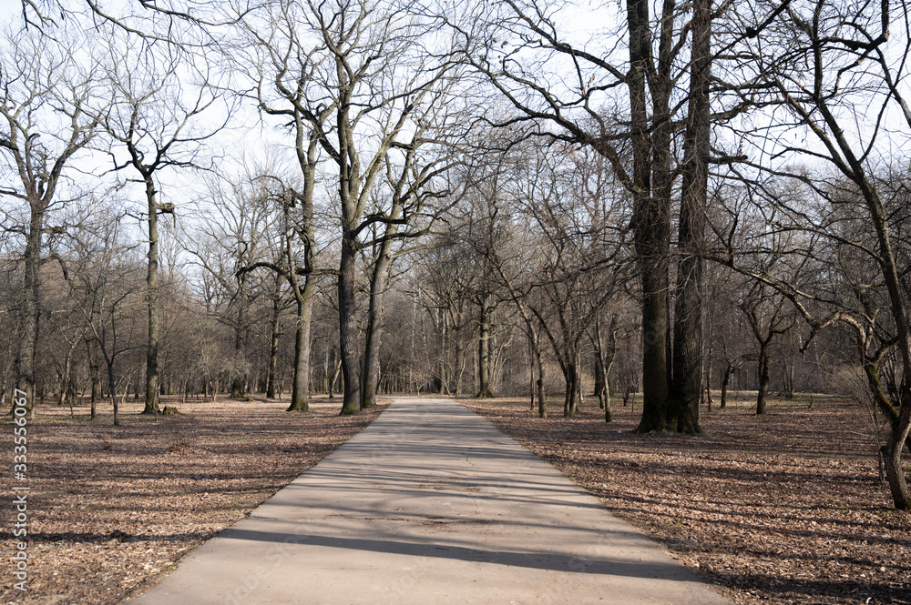 Empty walking path in the park closed due to coronavirus quarantine