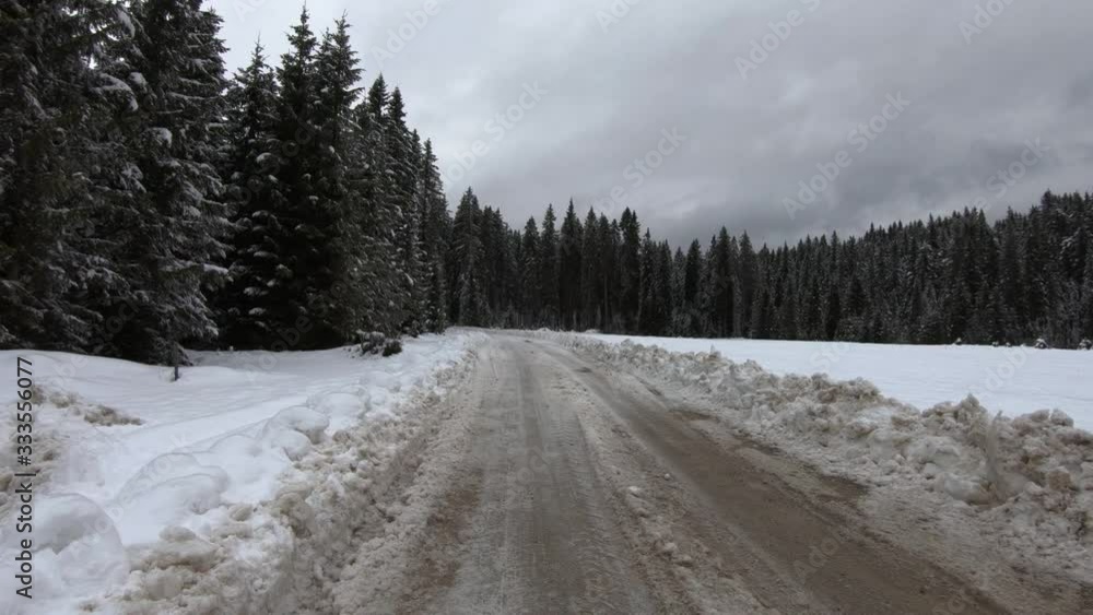 Forward dolly moving spruce tree forest and countryside road covered with snow. Winter season in wilderness in amazing nature Forward dolly moving spruce tree forest and countryside road covered with snow. Winter season in wilderness in amazing nature