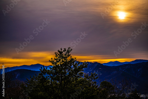 mountain sunrise with orange sky and pine tree in foreground