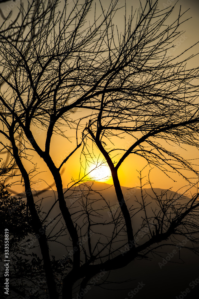 sunrise behind tree- Bisle ghat view point, KA India