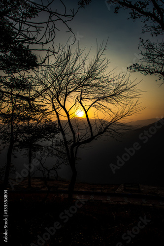 Sunrise behind the trees - bisle ghat view point