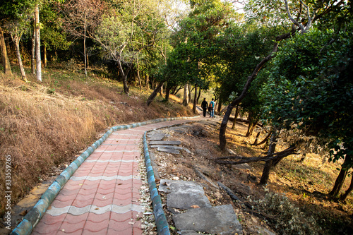 path in the park - Bisle Ghat View Point, KA India