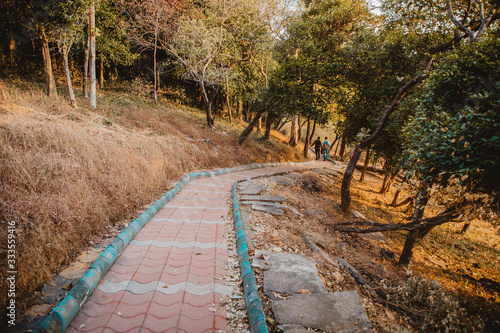 path in the woods- In Bisle Ghat View Point