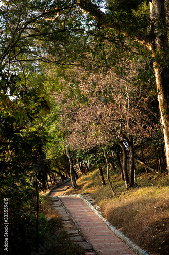 path in the park- Towards Bisle Ghat View point, KA India