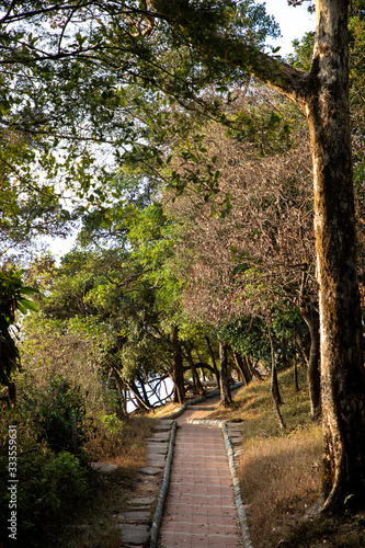 path in the forest - Bisle Ghat View Point, Hassan, KA India