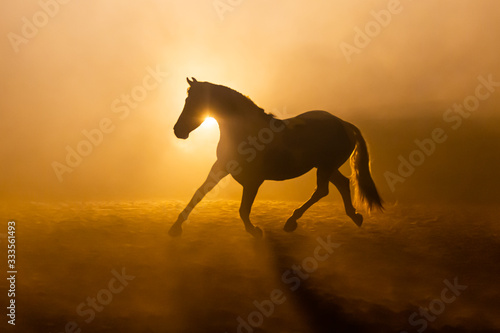 Profile of a Big painted horse galoping in smokey setting in orange dramatic light