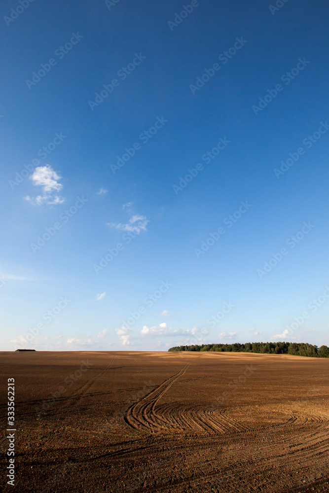 landscape on the field, ruts