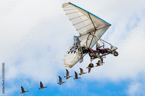 Fotografia Voler avec les oiseaux - Oies