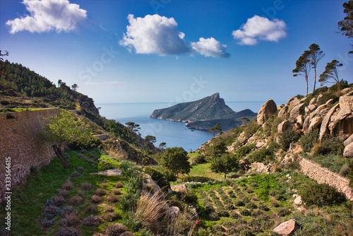 nice and beautiful landscape in spain