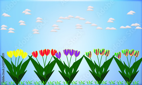 Tulpenbeet mit blauem Hintergrund und Wolken