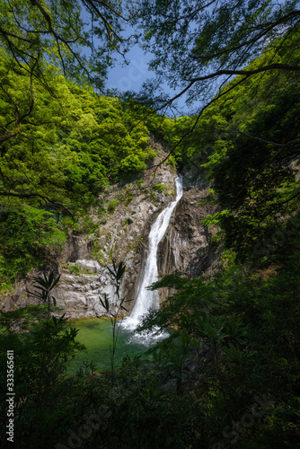 image of a waterfall in the forest