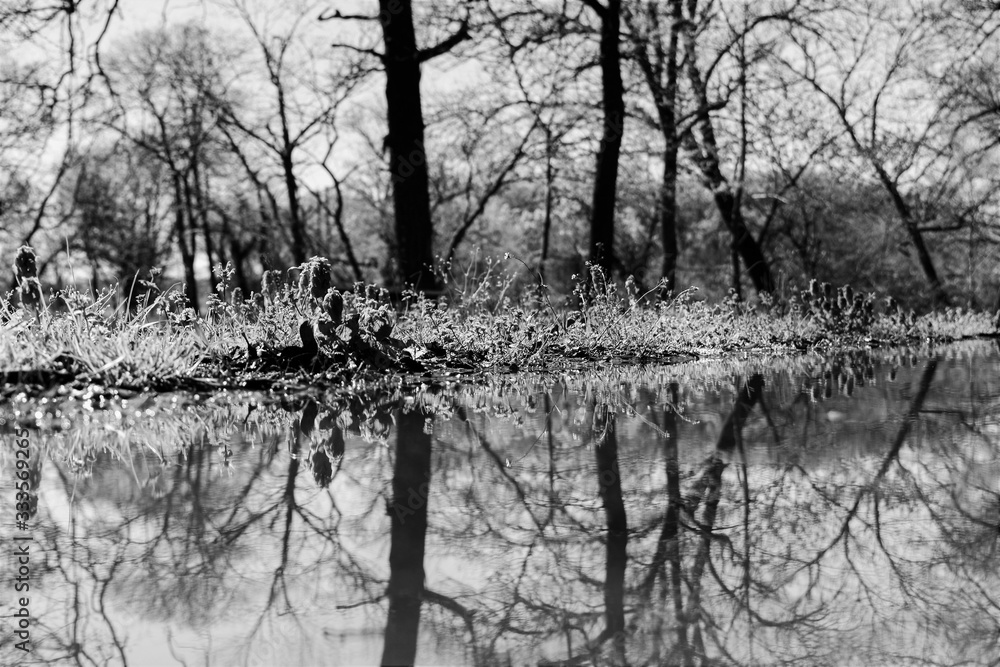 Fototapeta premium reflection