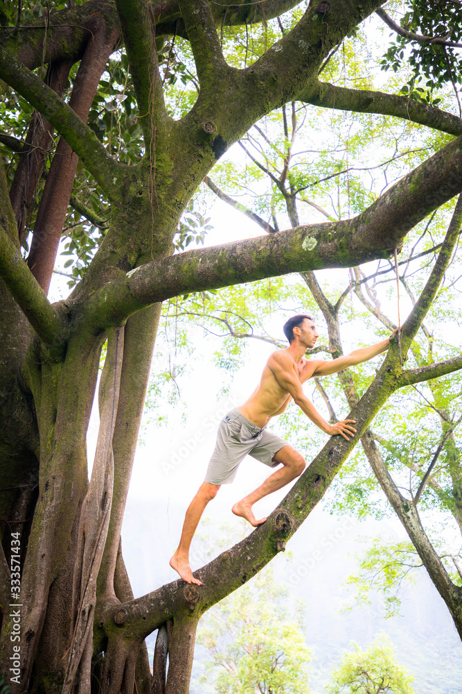 Climbing a Tree in Hawaii