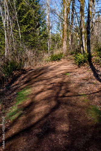 Well maintained dirt and ground bark trail through woods on a sunny day
