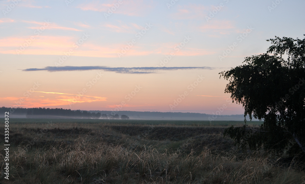 Fototapeta premium Morning in the field