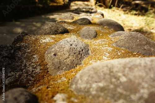 Costa Rica Lanscape & Close-Up