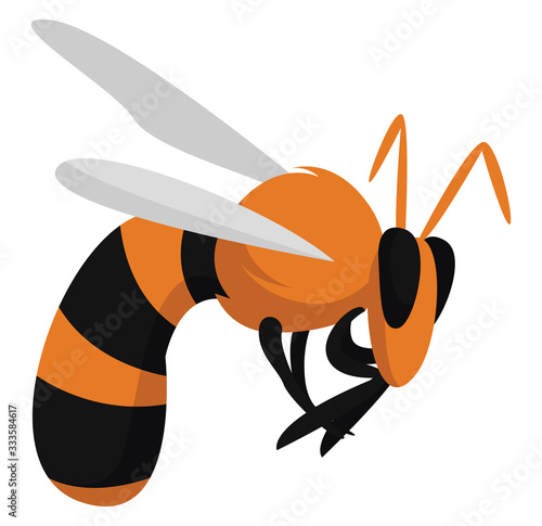 , illustration, vector on white background