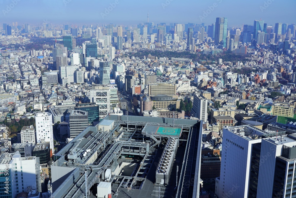 Fototapeta premium 東京の都心眺望