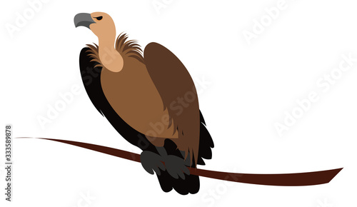 Vulture bird, illustration, vector on white background