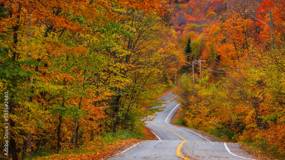 Scenic autumn drive in rural Quebec