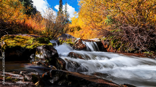 Maroon creek through colorful trees in Colorado
 photo