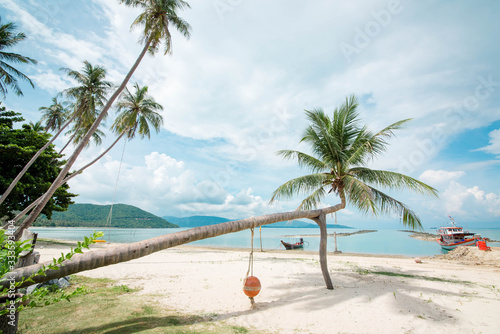 Beach on Tan Island With coconut trees leaning out into the sea Phuket, Thailand
