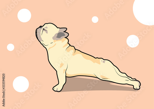 Cute French Bulldog Yoga Exercise, designing with flat color style. Minimal art but various usage.