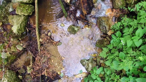 Aerial Top Down View of Stream At Hudicev Graben Gorge In Slovenia photo