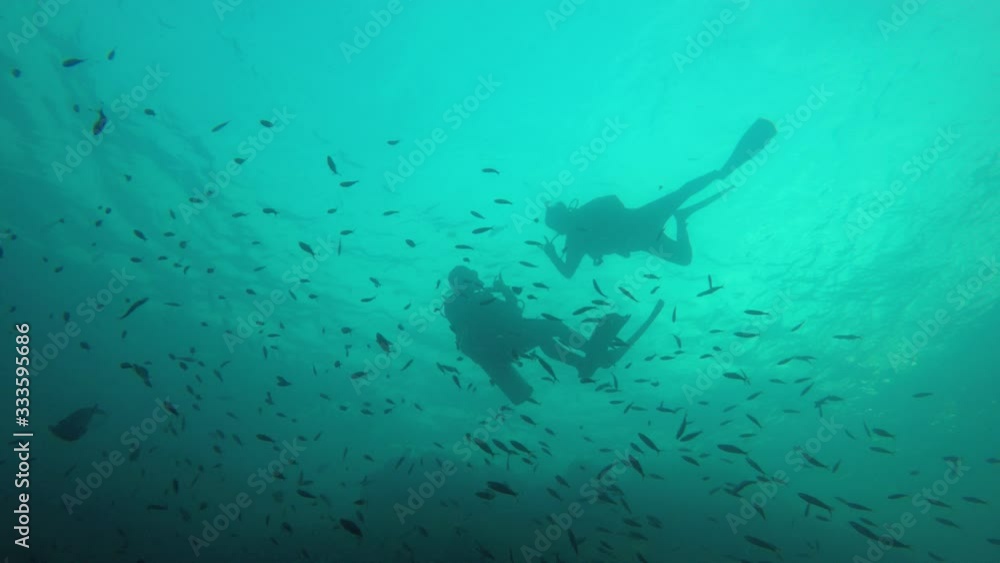 Scuba divers and fish underwater video Scuba divers and fish underwater video