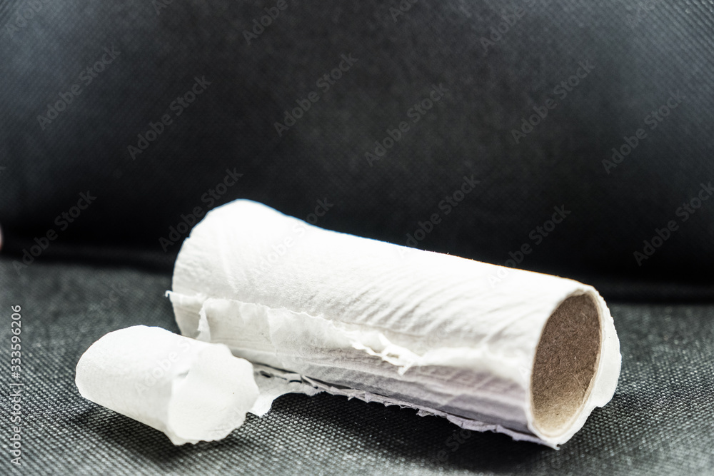 Fototapeta premium A roll of used toilet paper