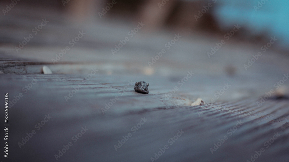 Fototapeta premium roca