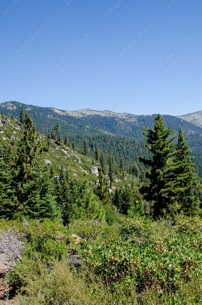 A beautiful view at Lake Tahoe A beautiful view at Lake Tahoe