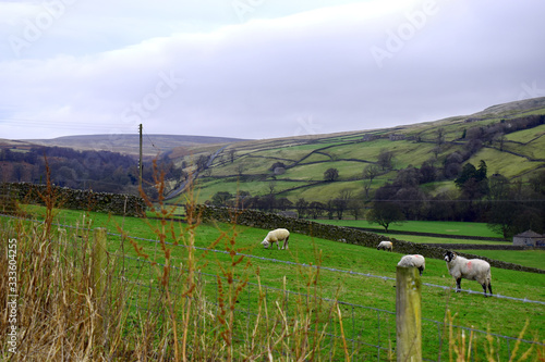 The Yorkshire dales viewed from Arkengarthdale,  surrounding with green fields of farmland photo