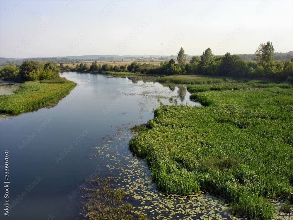 A wide river on a late summer morning.