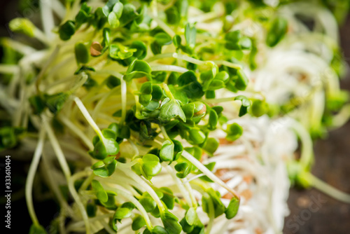 Microgreen. radish sprouts on the rustic background. Selective focus. Shallow depth of field.
