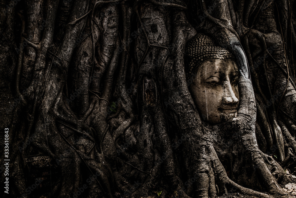 The head of a Buddha image is wrapped around a tree root at Wat Mahathat, Phra Nakhon Si Ayutthaya Province, Thailand.