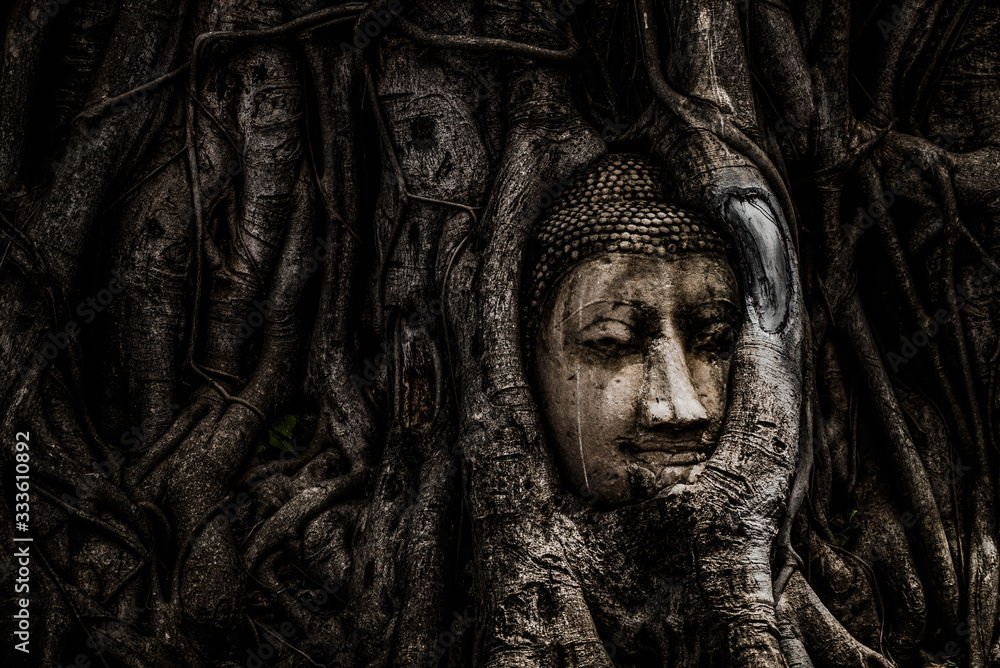 The head of a Buddha image is wrapped around a tree root at Wat Mahathat, Phra Nakhon Si Ayutthaya Province, Thailand.