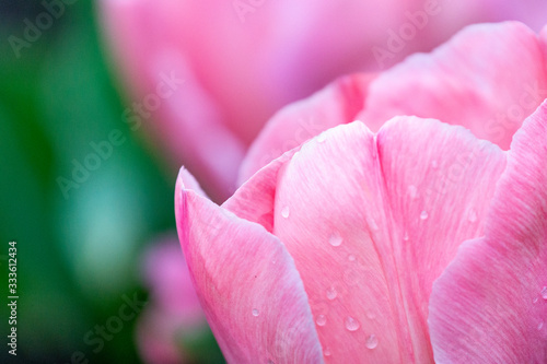 Wallpaper Mural 江川せせらぎ公園 Torontodigital.ca