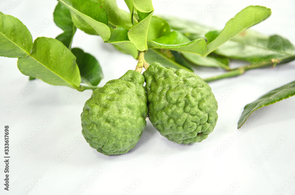 Two fresh kaffir limes with leaves on white floor Two fresh kaffir limes with leaves on white floor