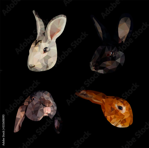 Four bunny faces (black, white, ginger, brown) low poly triangular vector illustration isolated on black. Polygonal style trendy modern logo business fairy design template.