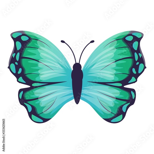 Wing butterfly icon. Cartoon of wing butterfly vector icon for web design isolated on white background