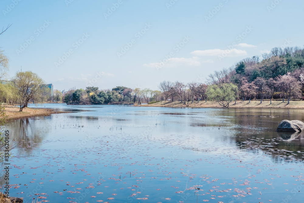 Obraz premium Blue sky and lake in springtime