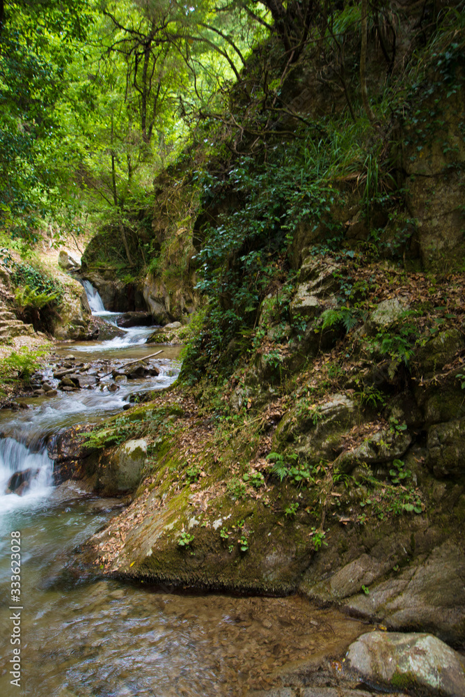 streams and lakes in the heart of the national park on vacation streams and lakes in the heart of the national park on vacation