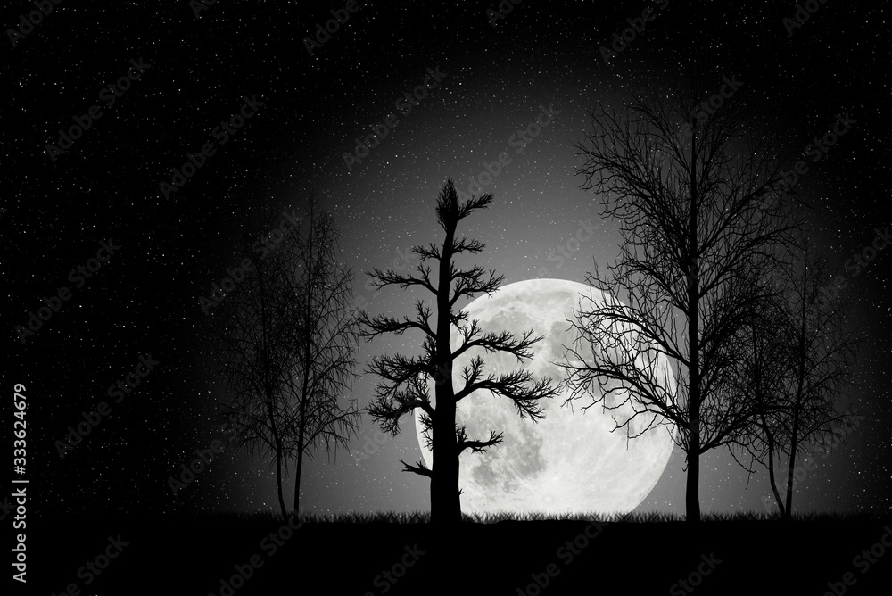 Illustration depicting a night landscape with large moon starry sky and silhouttes of trees