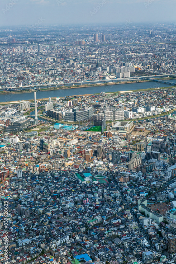 Tokyo top view. A densely-built metropolis from the height of the Sky Three tower. Vertical.
