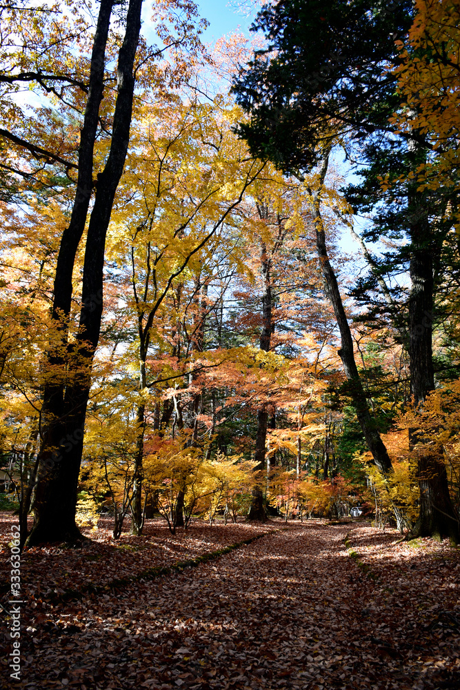 Naklejka premium Karuizawa Kumoba Ike, Nagano Japan