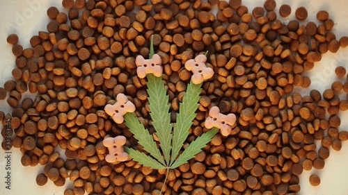Dog and cat treats and cannabis leaves - CBD and medical marijuana for pets concept, medical and recreational marijuana and cannabis.
