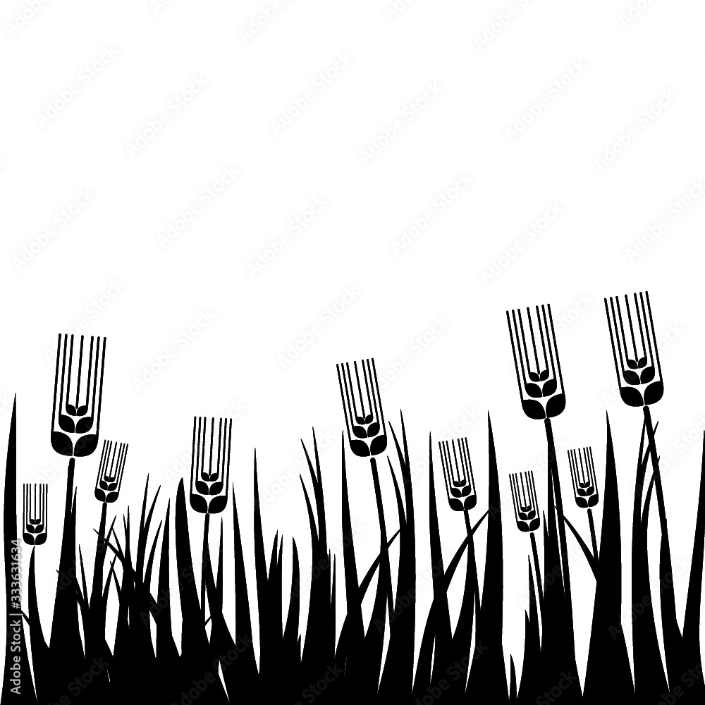 Wheat field background. Cereals icon set with rice, wheat, corn, oats, rye, barley isolated on white background Wheat field background. Cereals icon set with rice, wheat, corn, oats, rye, barley isolated on white background